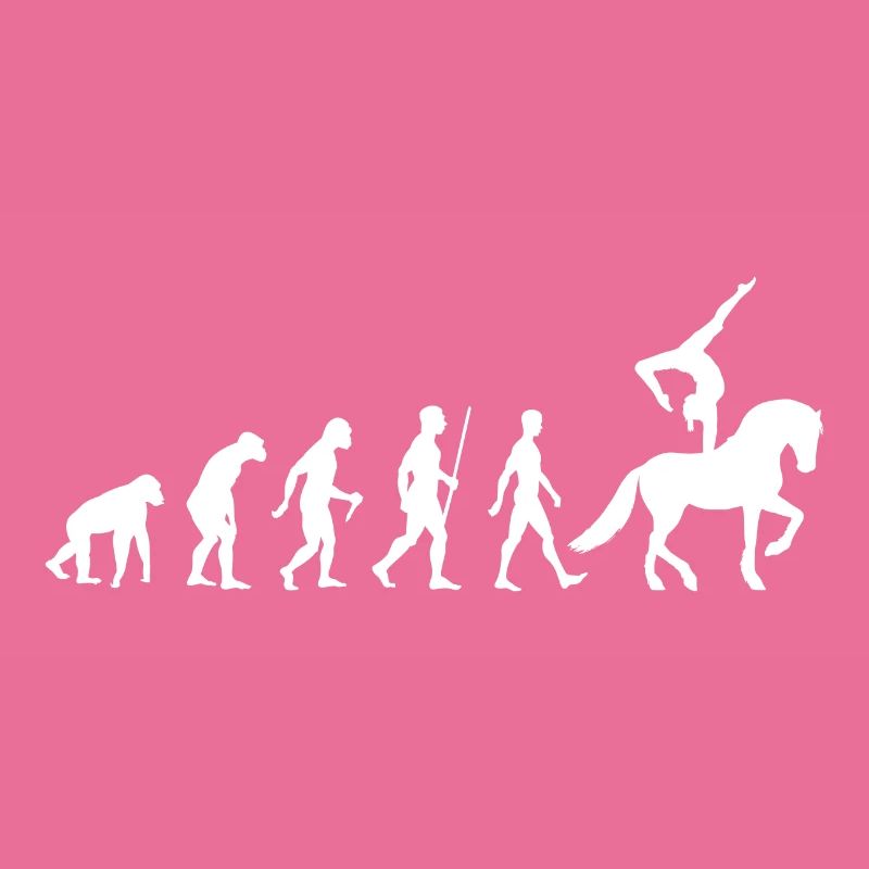 Voltigieren Evolution