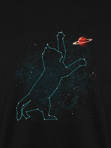 Konstellation der Katze