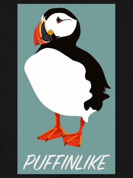 Puffin Puff Papageientaucher