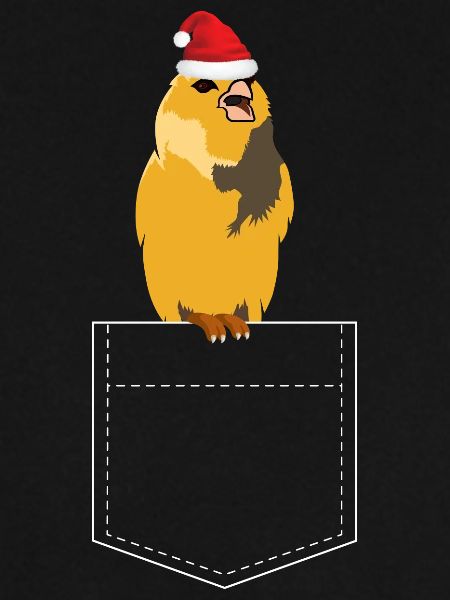 Weihnachtsvogel