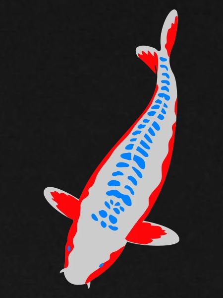 Koi - Nishikigoi