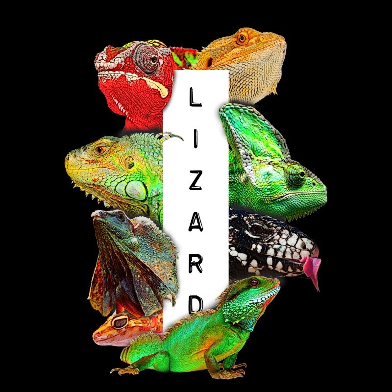 Reptilienhalter Eidechsenbesitzer