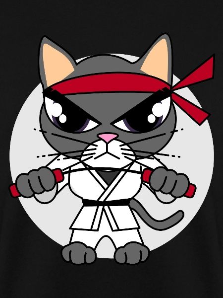 Karate Katze