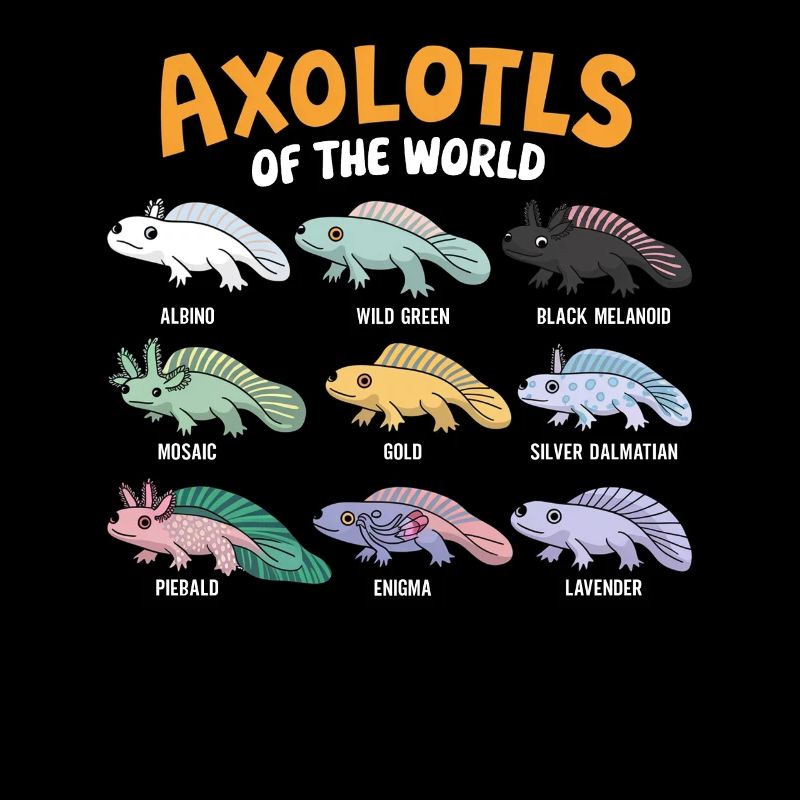 Axolotls Der Welt Süßer Anime Salamander