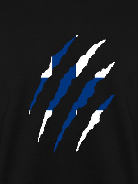 Finnische Flagge Finnland