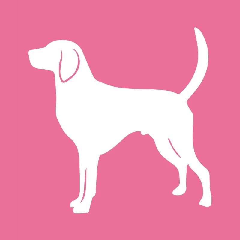 American Foxhound