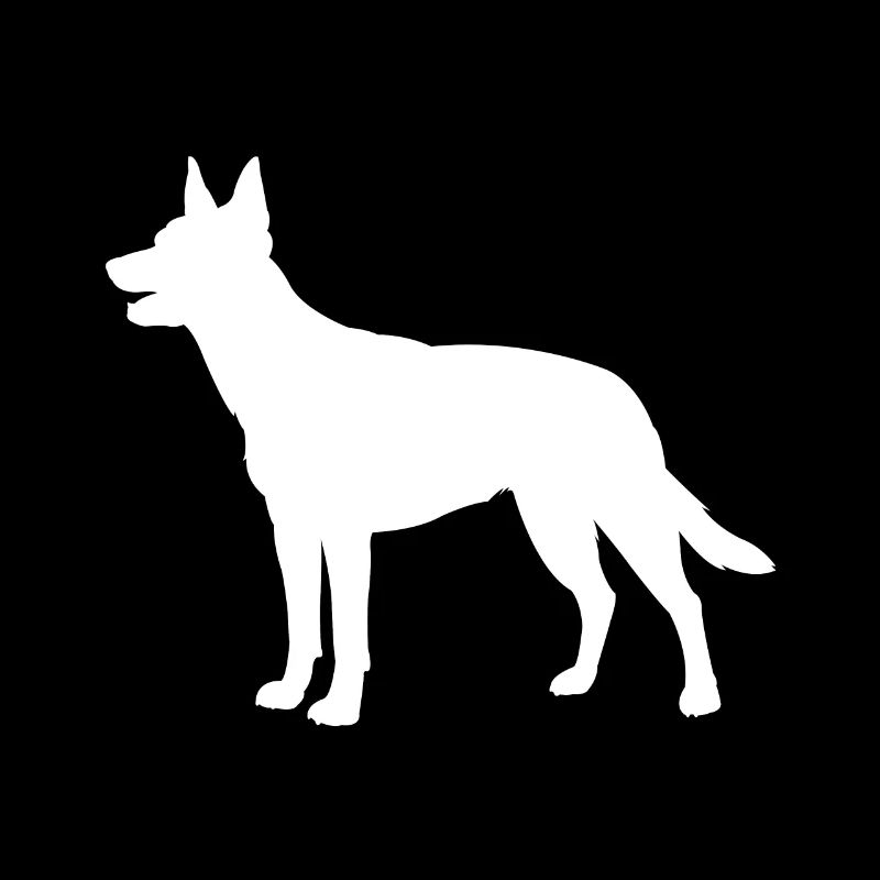 Australian Kelpie