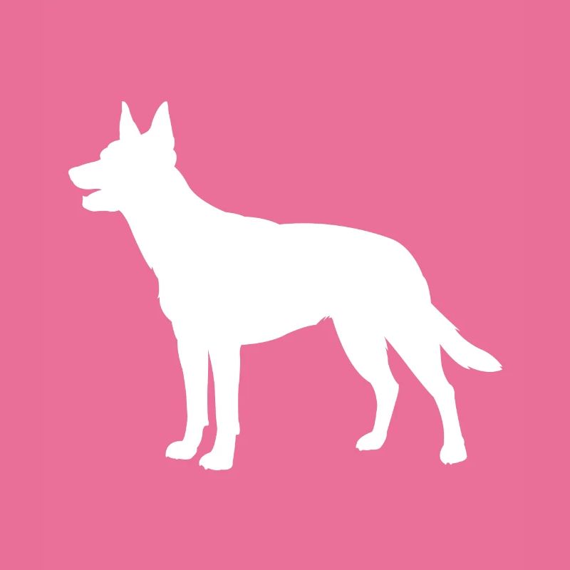 Australian Kelpie