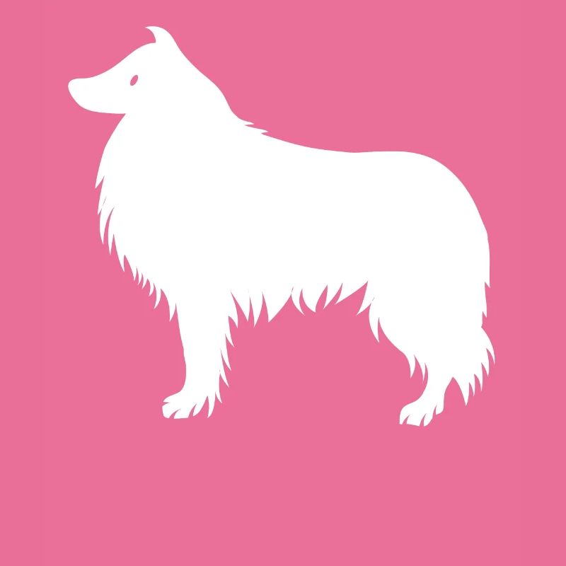 Collie