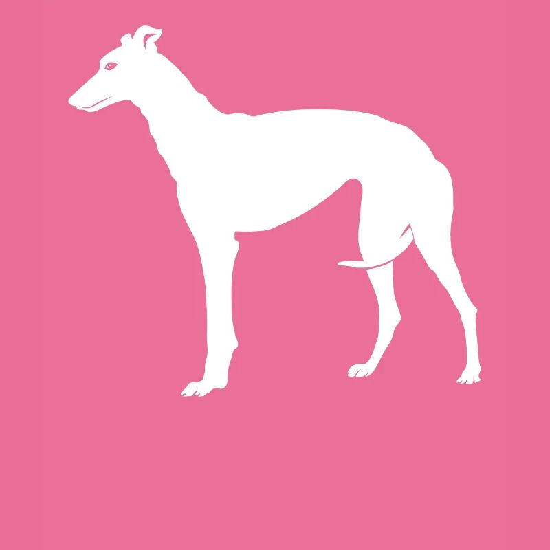 Greyhound greyhound