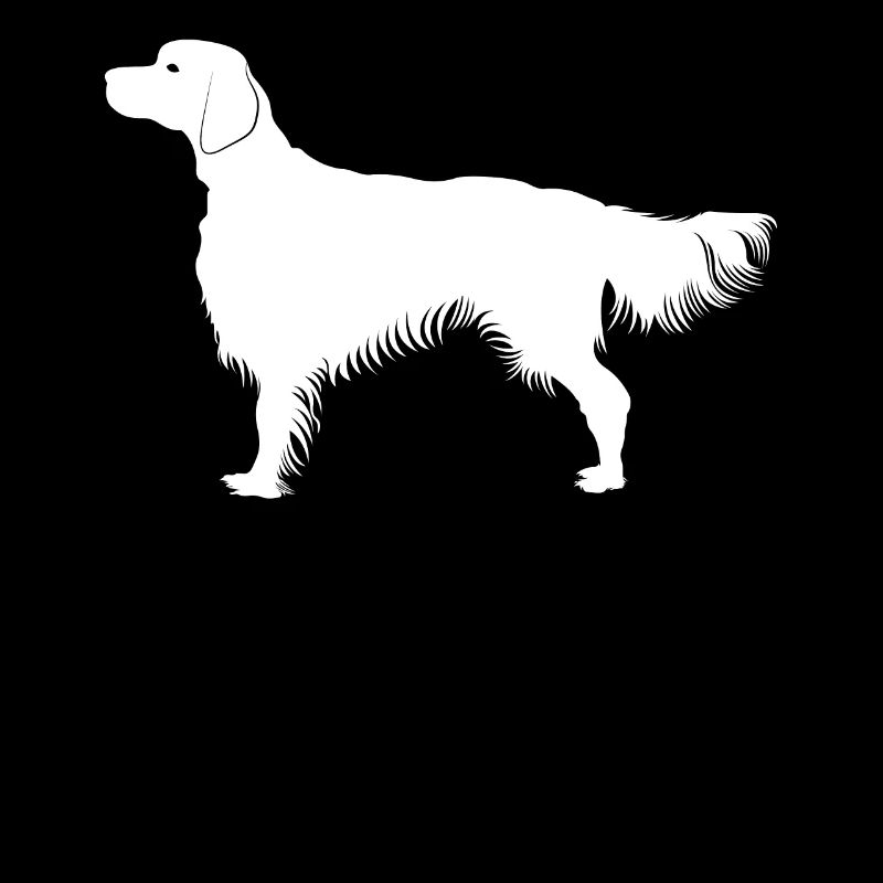 Irish Setter