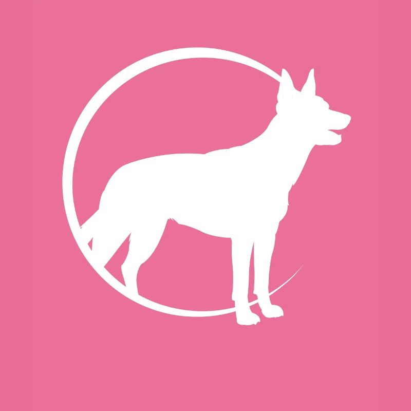 Australian Kelpie