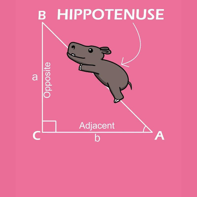 Math Hippotenuse Hypotenuse Professeur de mathématiques