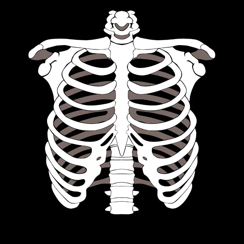 Skelett Gerippe Halloween Knochen Knochenskelett