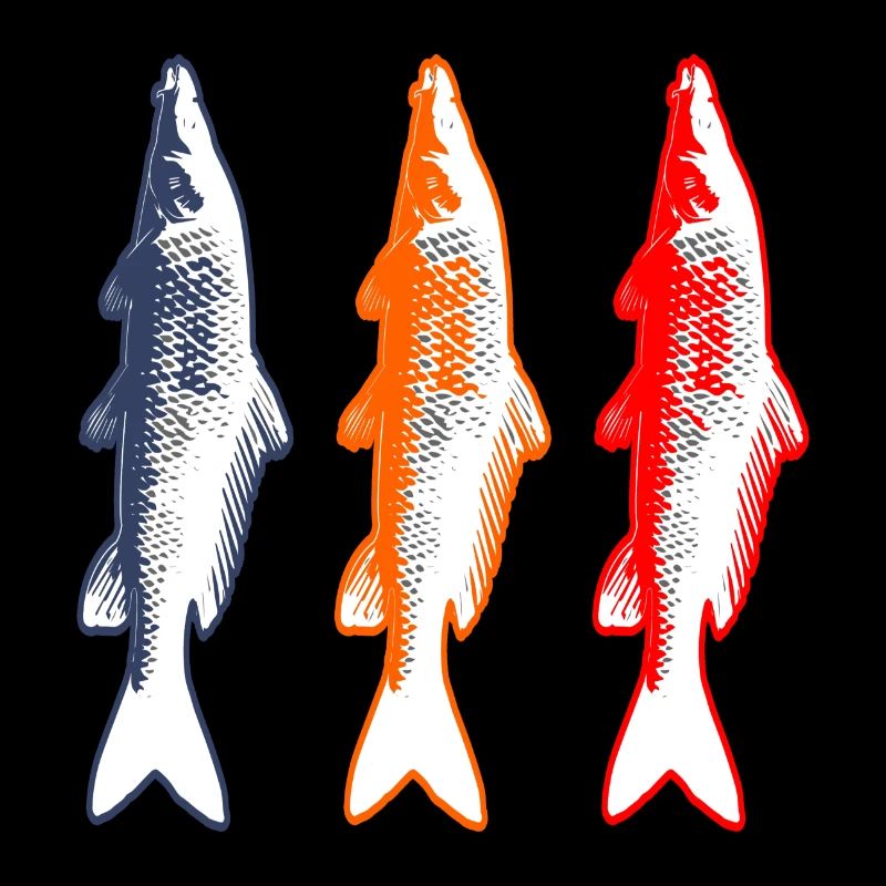 Pêche pêcheur carpe poisson