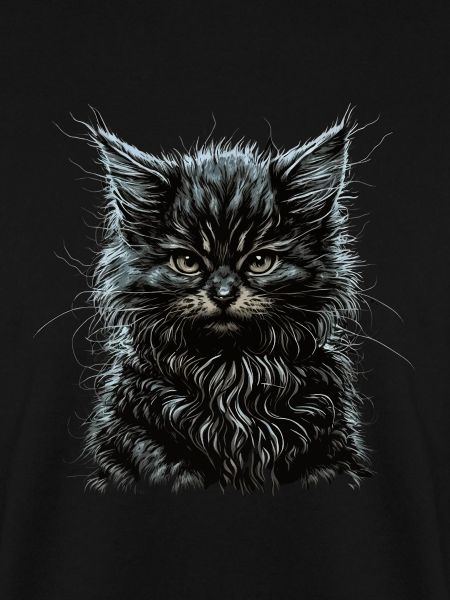 Maine-Coon-Katze