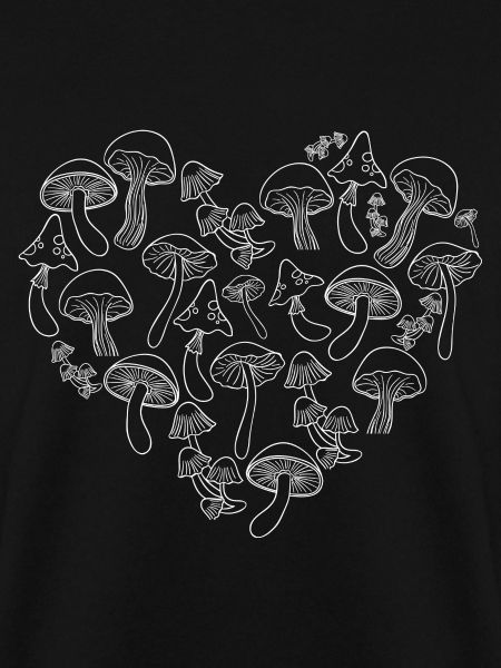 Steinpilze | Pfifferling | Champignons