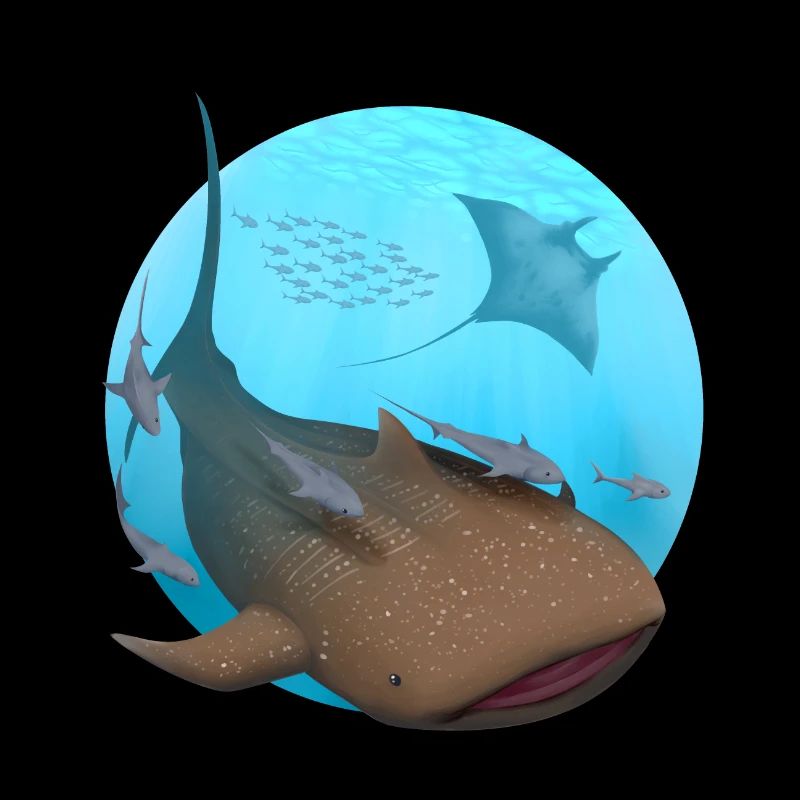 Smiling Whale Shark