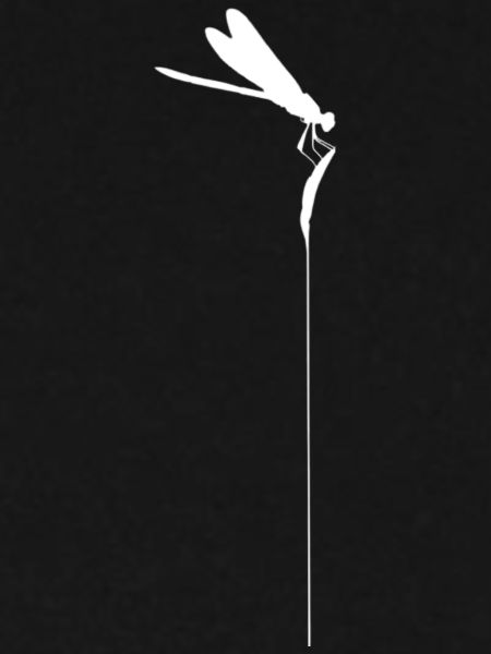 Zen-Libelle – Minimalistischer Kachimushi-Geist