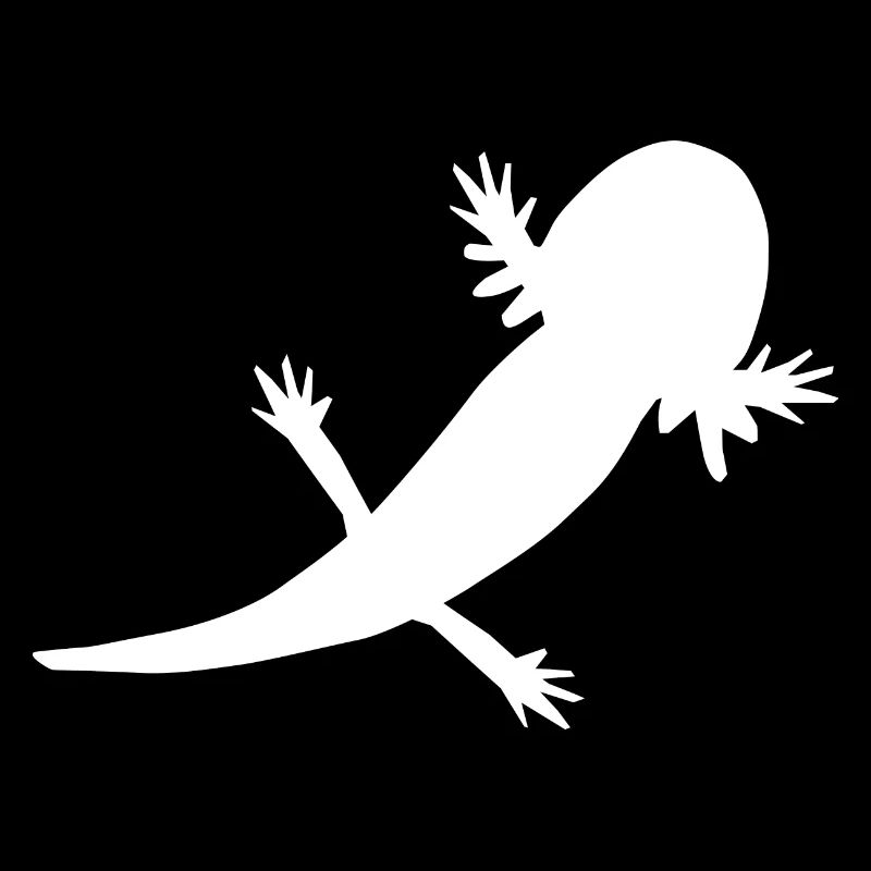 Axolotl Schatten
