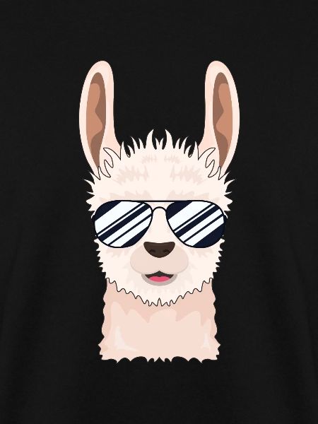 Cool llama