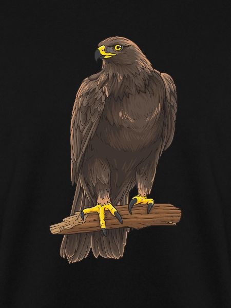 Adler Greifvogel Steinadler