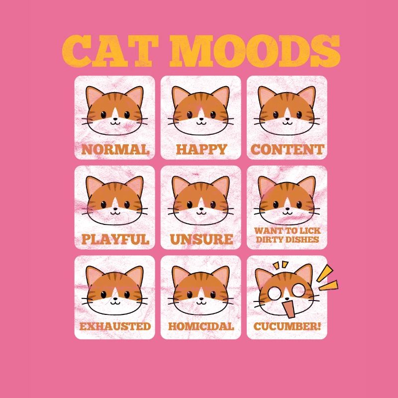 Chats Chat Chat Chat Amour de chat Cadeau