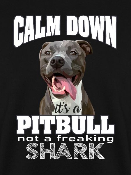 pitbull not a shark