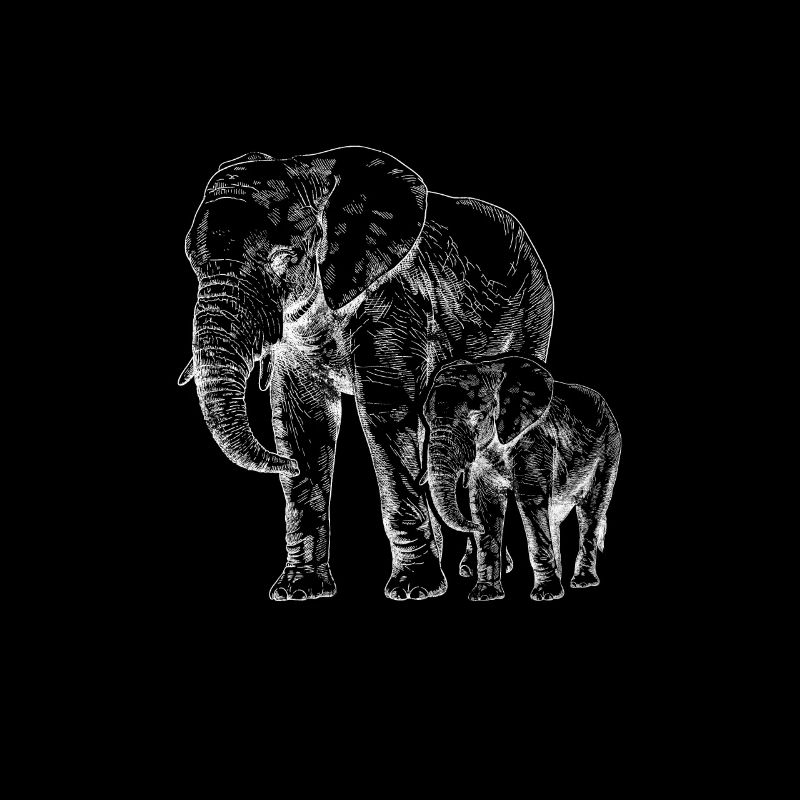 Éléphant