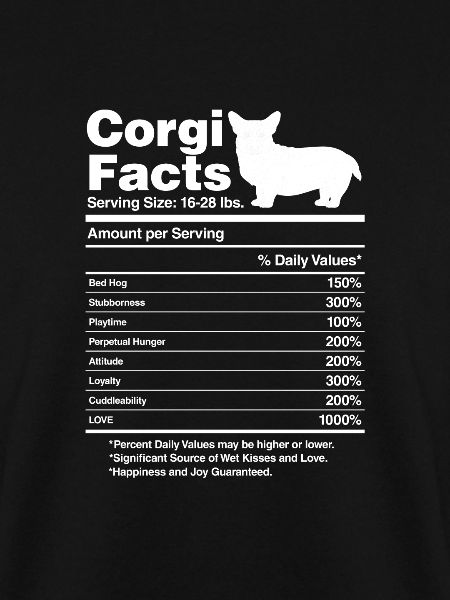 Corgi