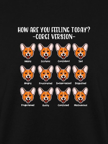 Corgi
