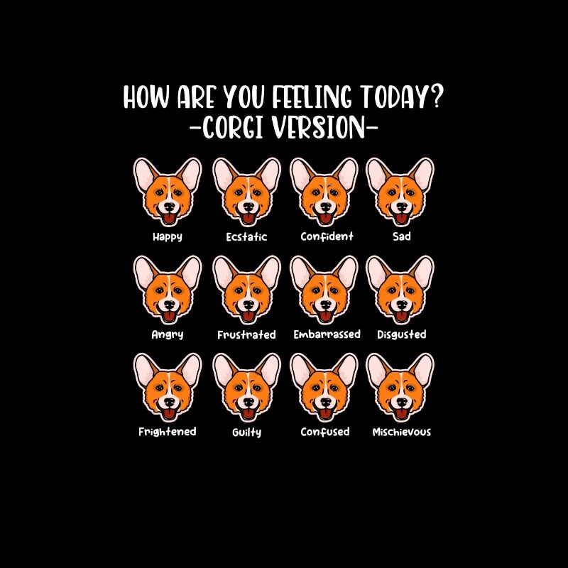Corgi