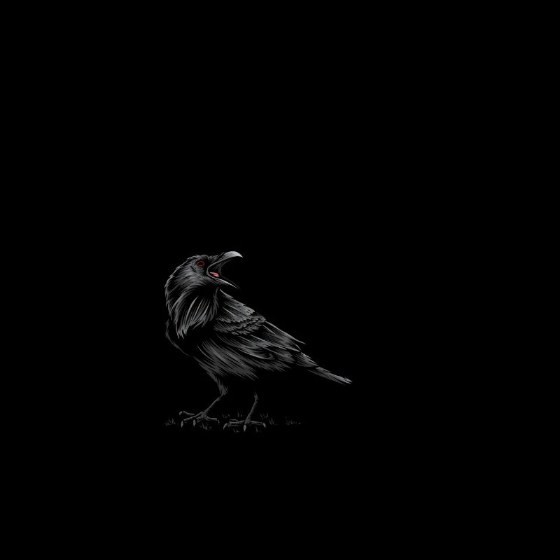 Corbeau Corbeau Oiseau Corbeau Oiseaux Nature Corbeau GEschenk