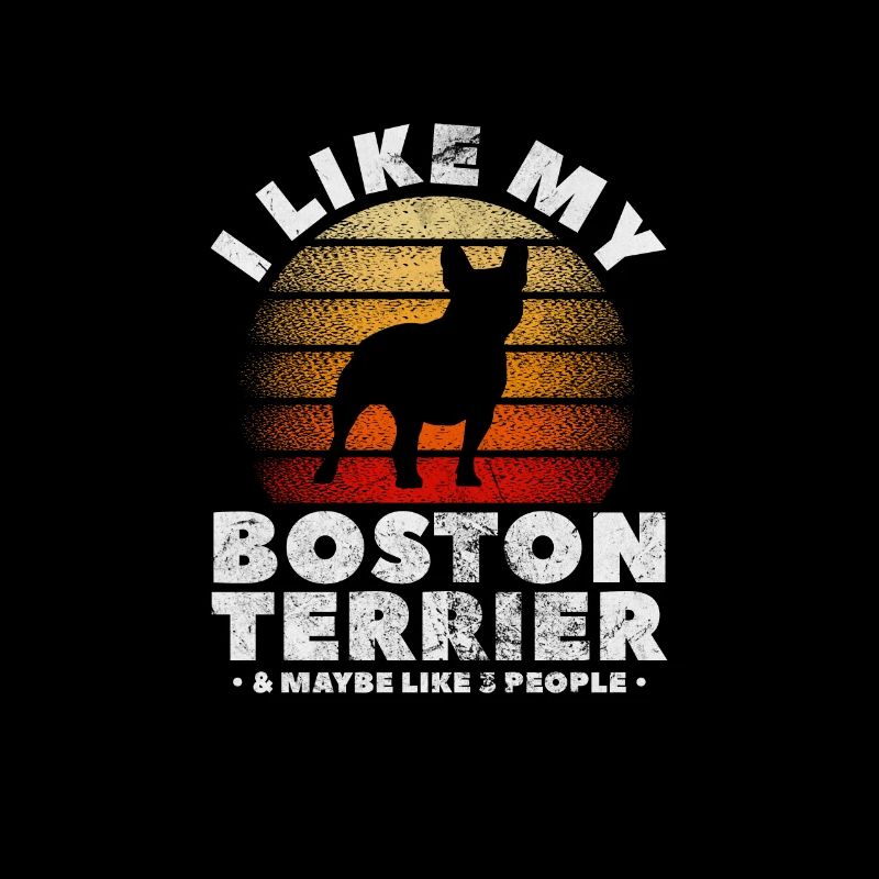 Boston Terrier