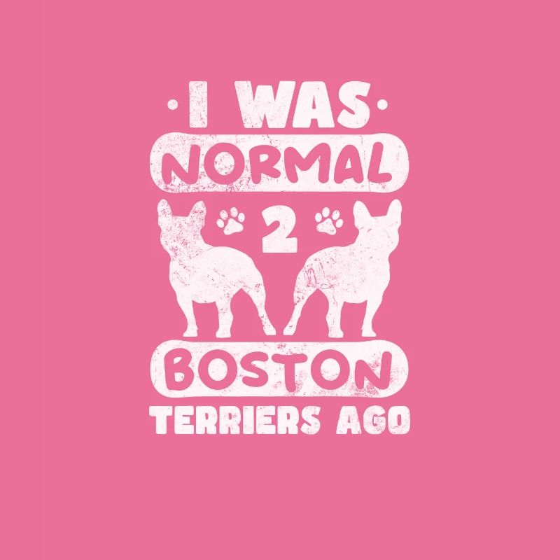 Boston Terrier