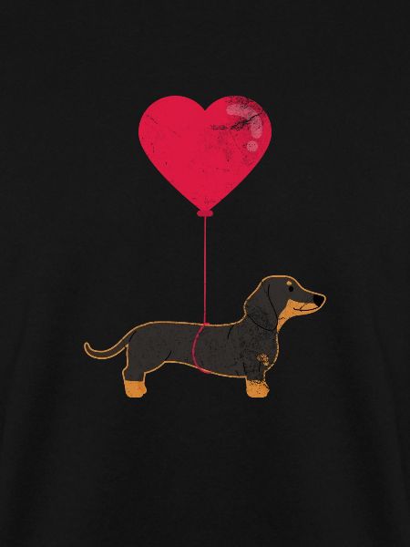 Dachshund