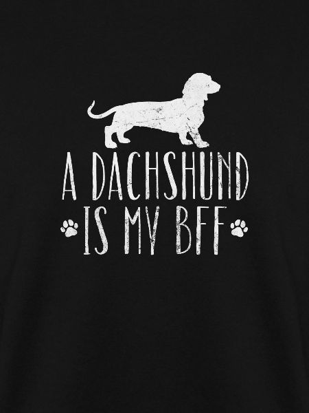 Dachshund