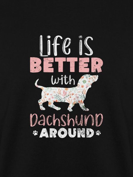 Dachshund
