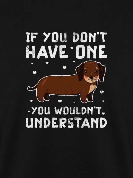 Dachshund