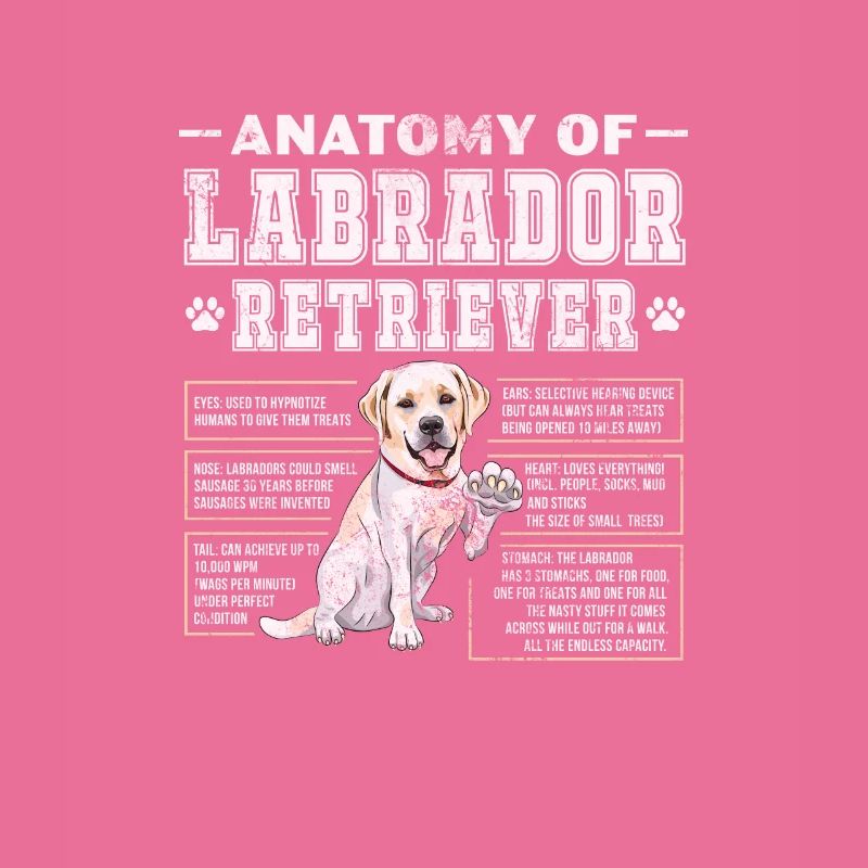 Labrador