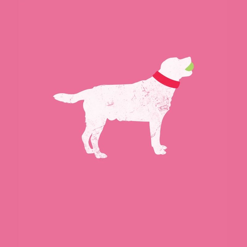 Labrador