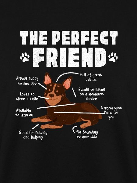 Australian Cattle Dog