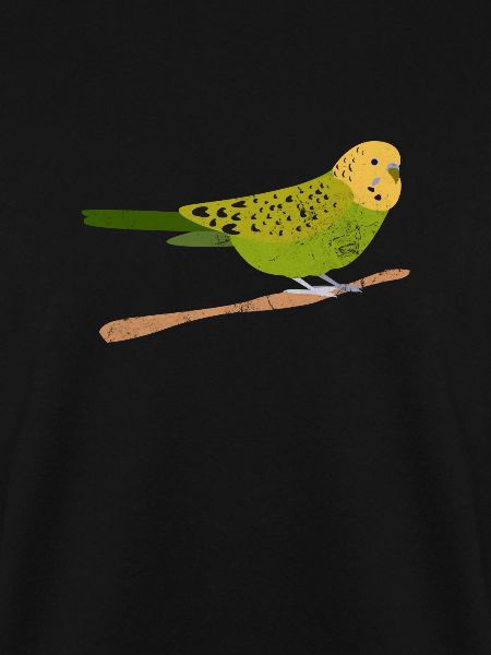 Budgerigar