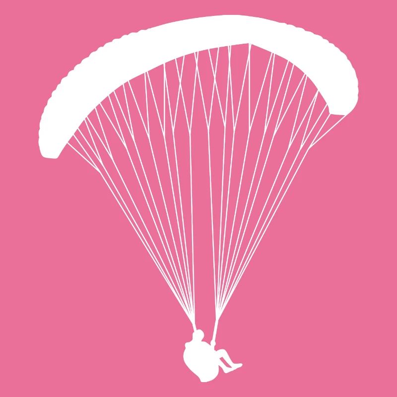 Paraglider