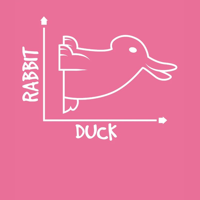 Optical Illusion Rabbit Duck