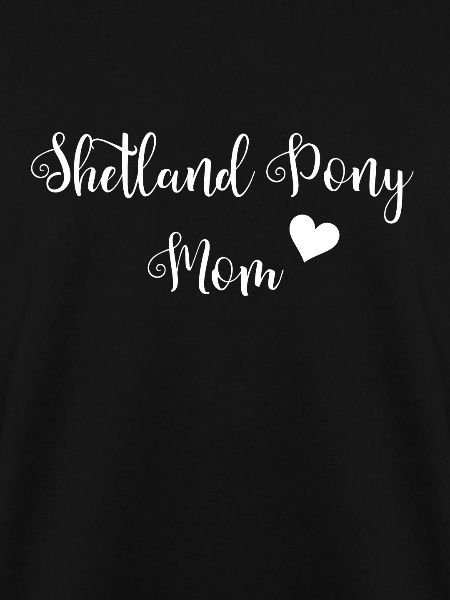 Shetland Pony
