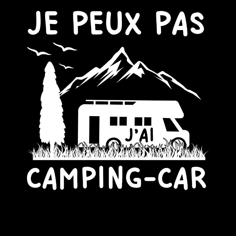 I Cannot I Have A Camper Motor Home Camping