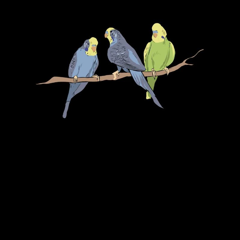 oiseaux