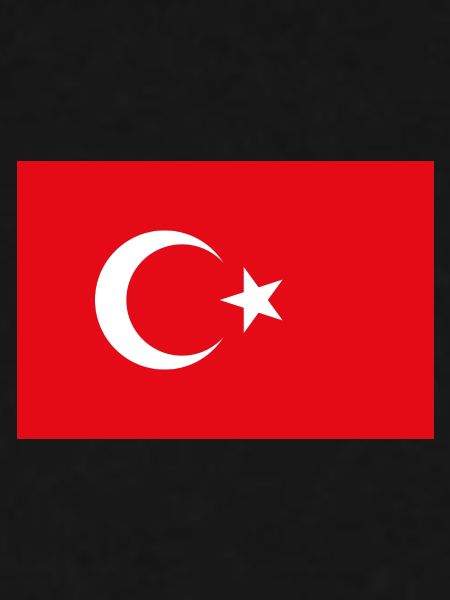 Türkische Flagge