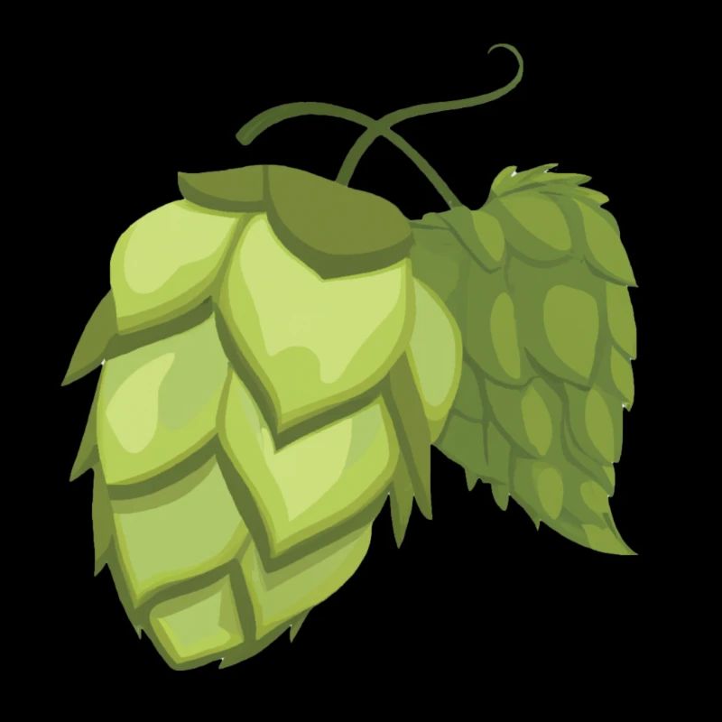 Hopfen - Hopfendolde